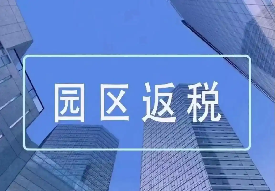 2025年有限公司返税政策详解 第1张