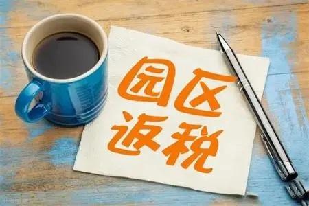 2025年有限公司返税政策详解