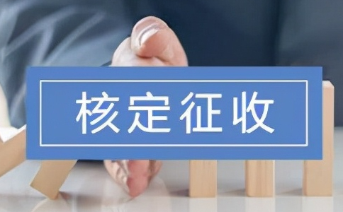 2025年有限公司返税政策详解