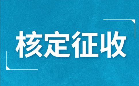 2025年有限公司返税政策详解