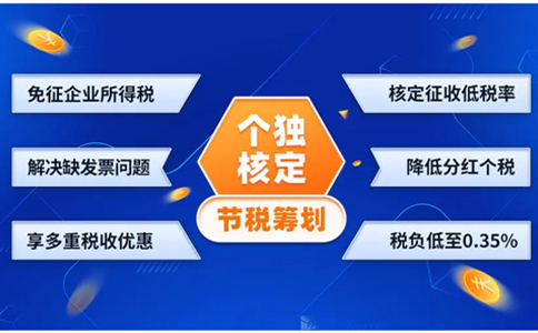 2025年有限公司返税政策详解