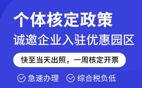 2025年有限公司返税政策详解