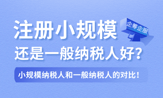 注册小规模还是一般纳税人好？
