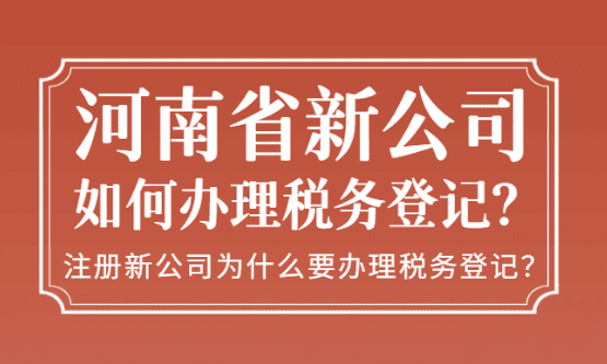 河南省新公司如何办理税务登记？